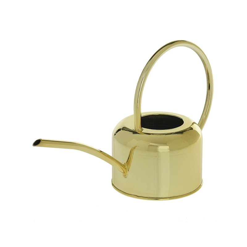 Gold Watering Can - Field Study
