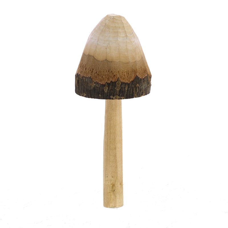 Wood Mushrooms - Field Study