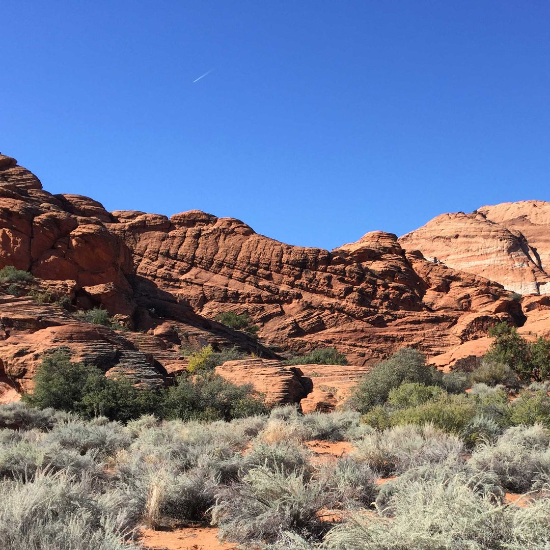Designing for the Desert - ökenhem