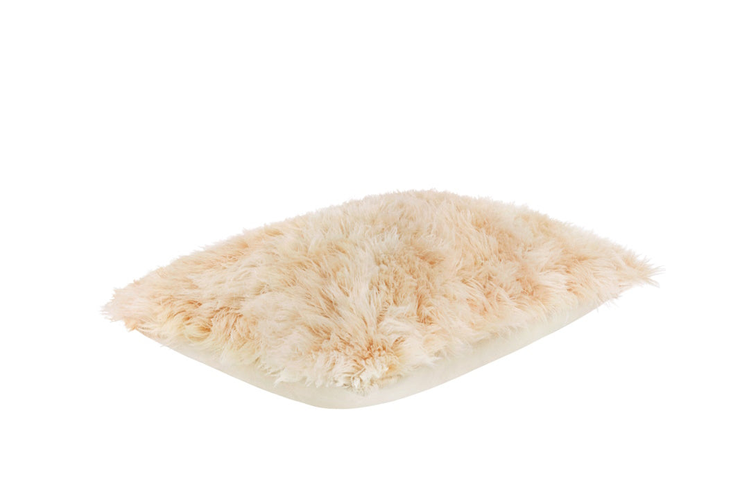 Monster Cushion
