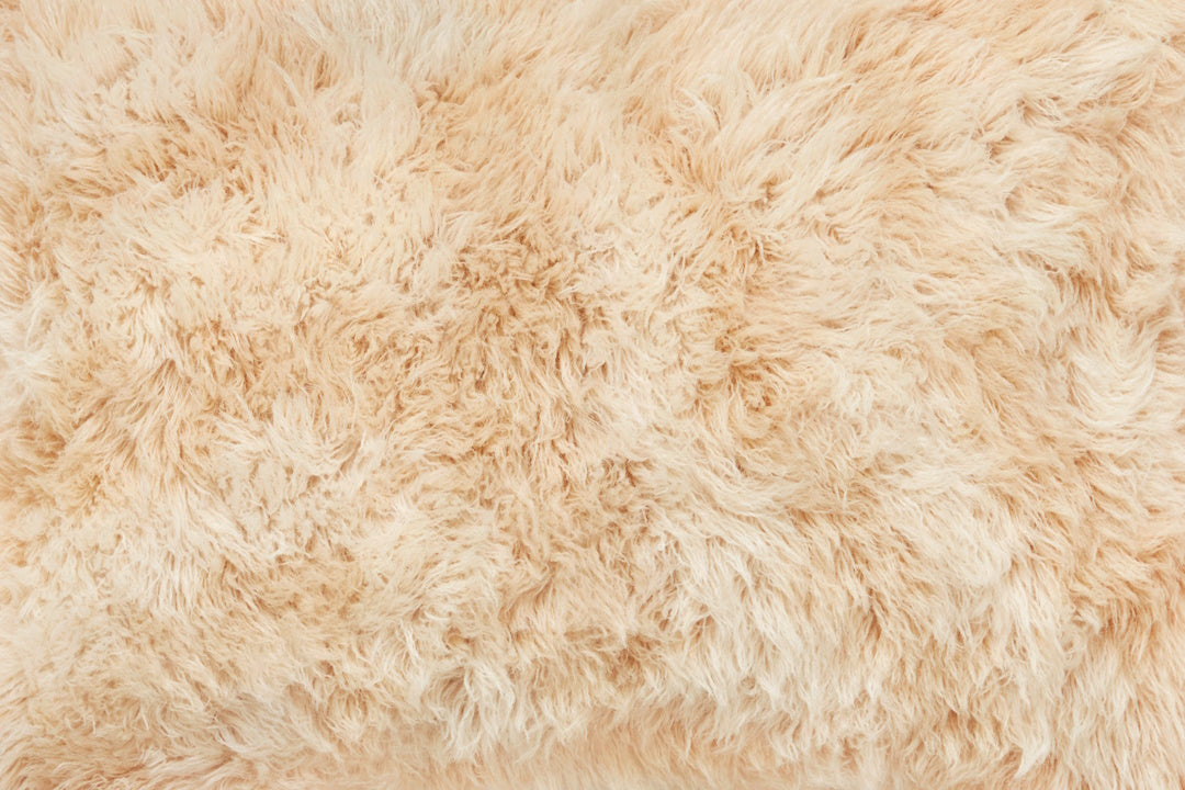 Monster Cushion