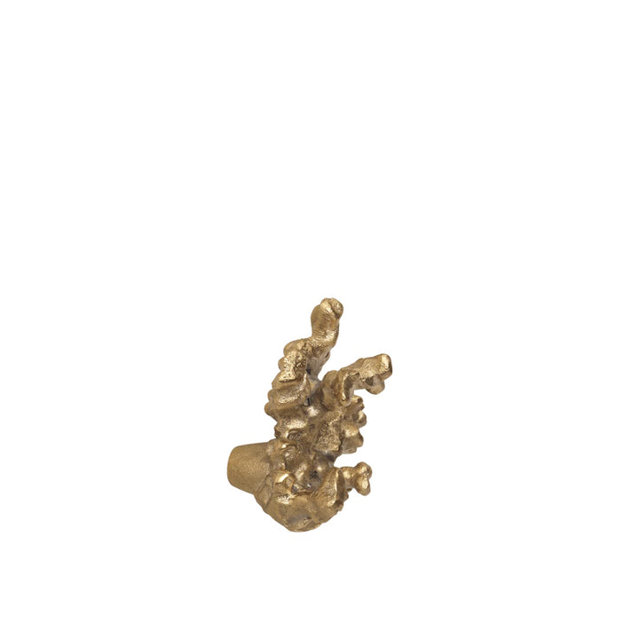 Comber Coral Branch Hook - Brass