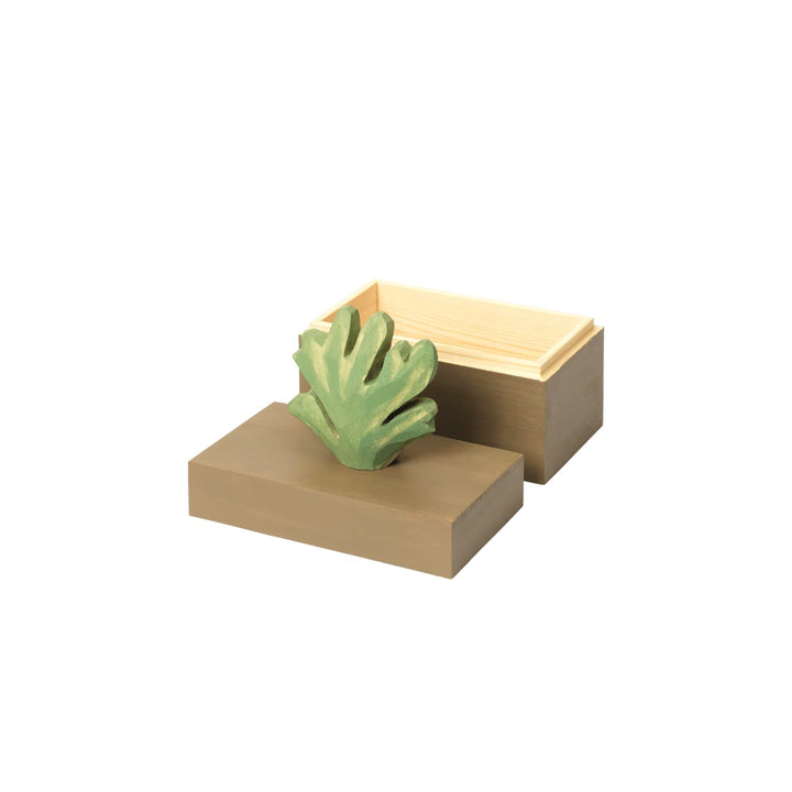 Harbour Box - Coral