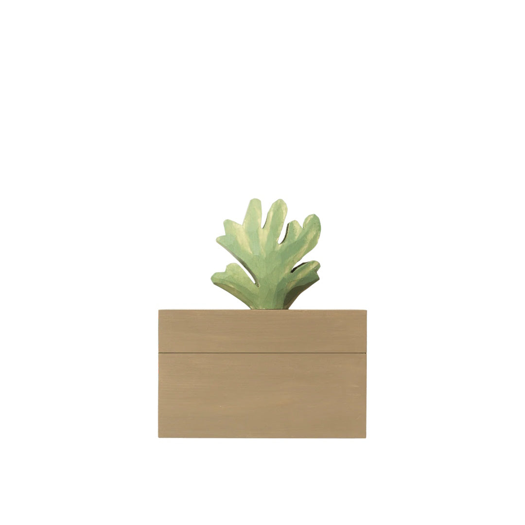 Harbour Box - Coral