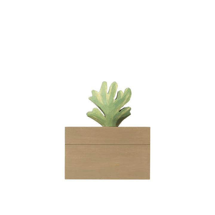 Harbour Box - Coral