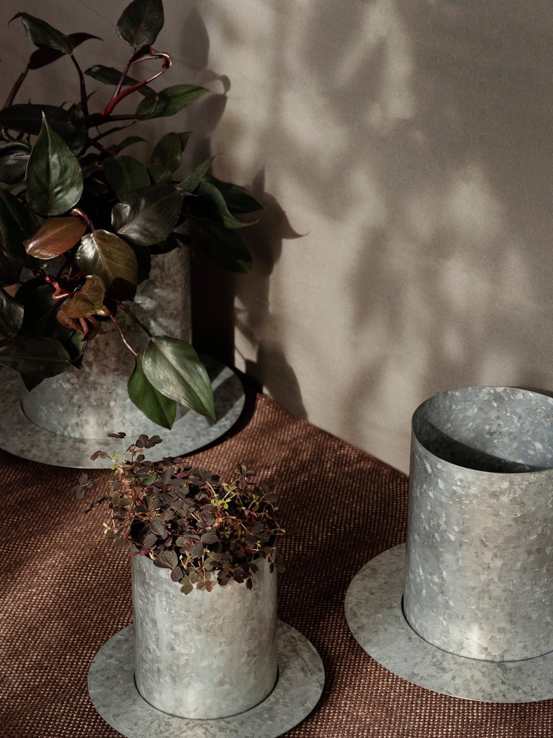 Auran Pot - ökenhem