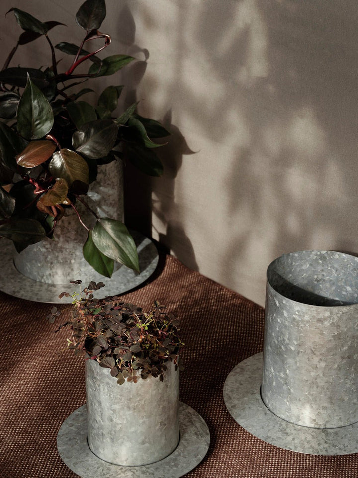 Auran Pot - ökenhem