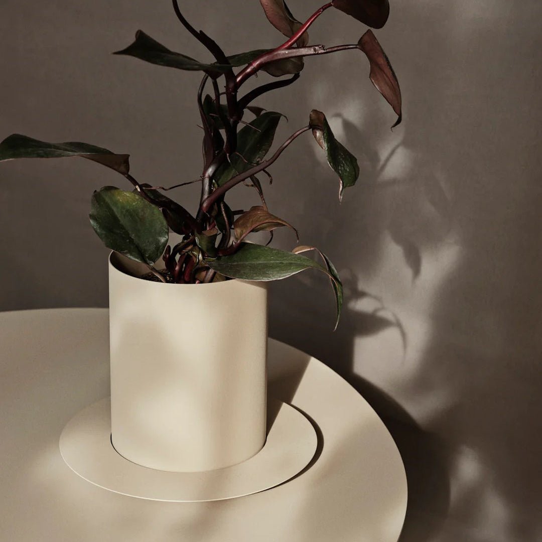 Auran Pot - ökenhem