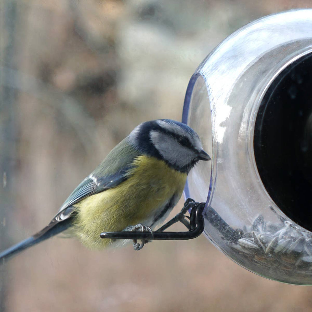Window Birdfeeder