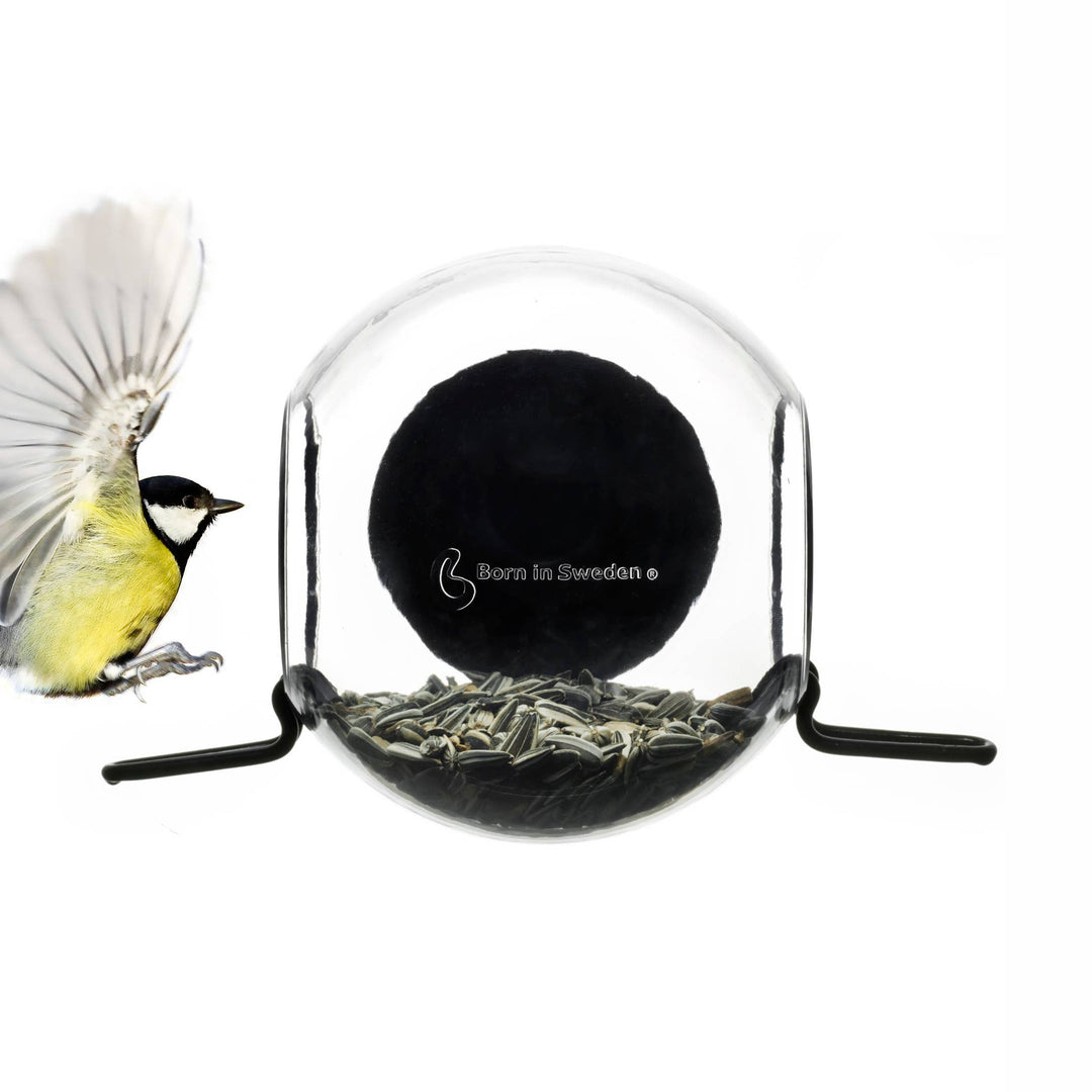 Window Birdfeeder