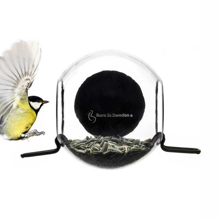 Window Birdfeeder