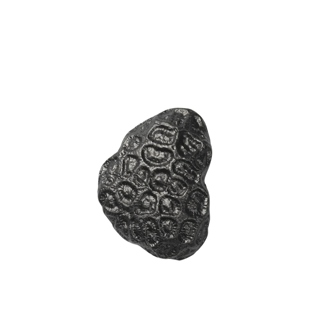 Comber Coral Hook - ökenhem