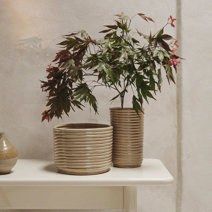 Corduroy Pot - ökenhem