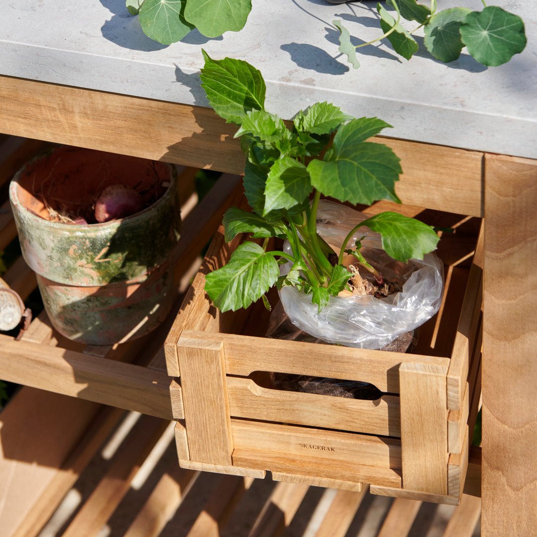 Dania Box - ökenhem