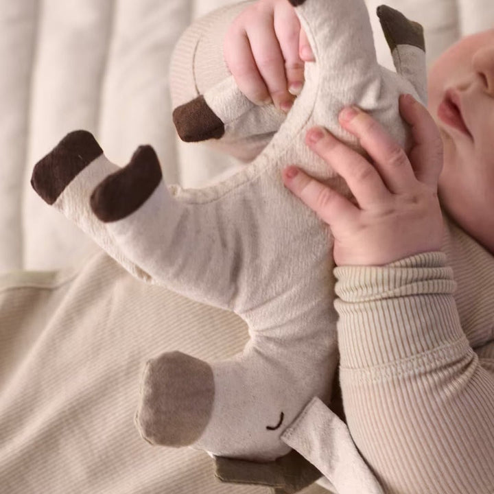 Donkey Soft Toy - ökenhem