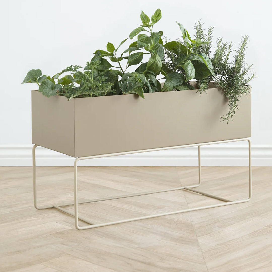 Plant Box - Large