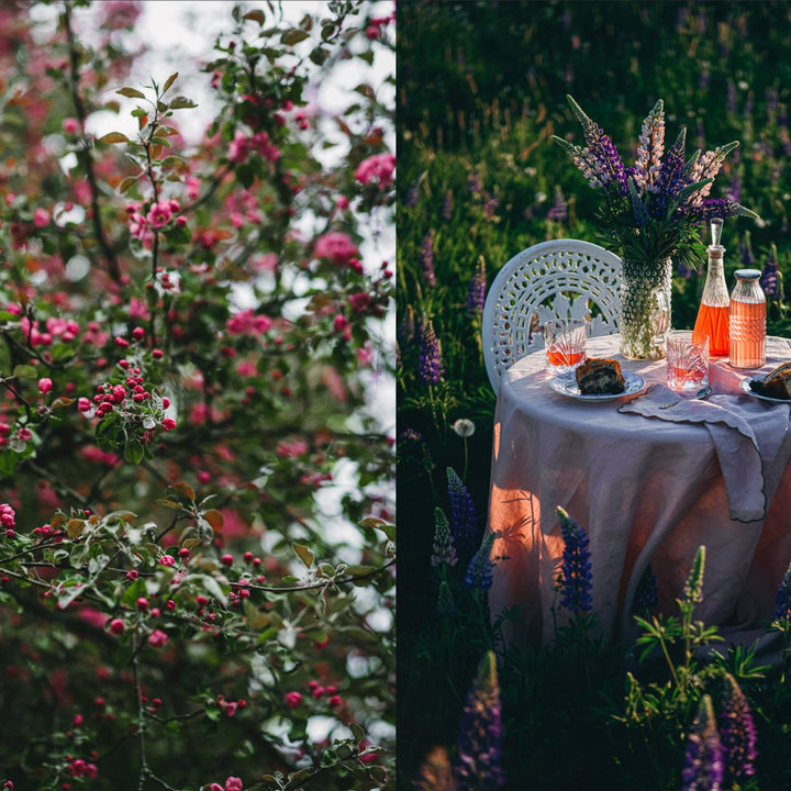 Nordic Summer Cookbook - ökenhem