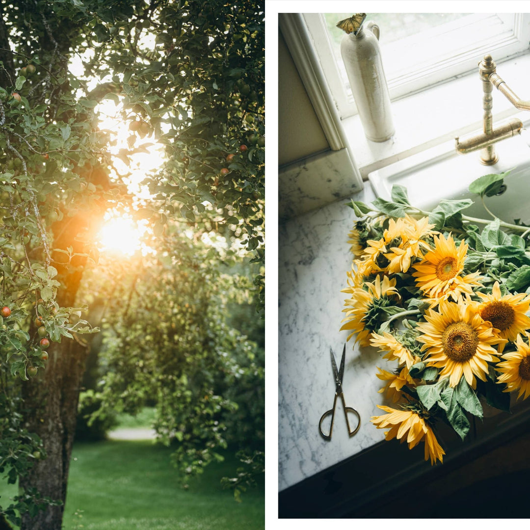 Nordic Summer Cookbook - ökenhem