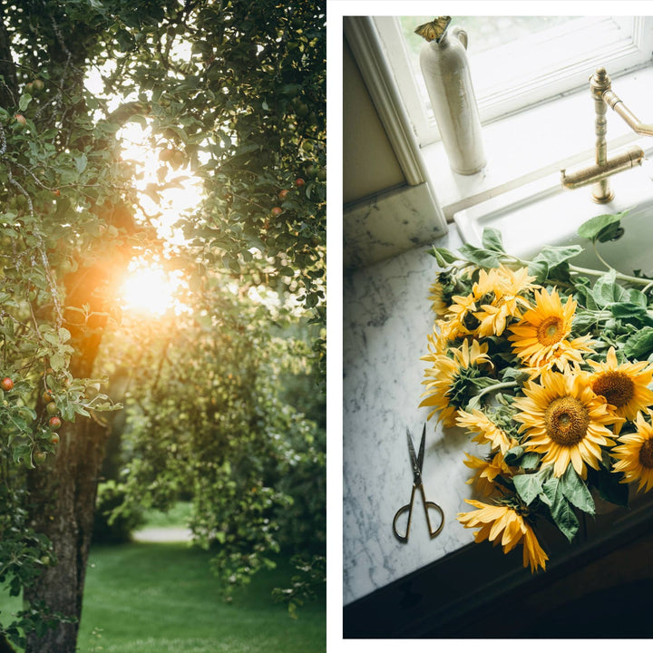 Nordic Summer Cookbook - ökenhem