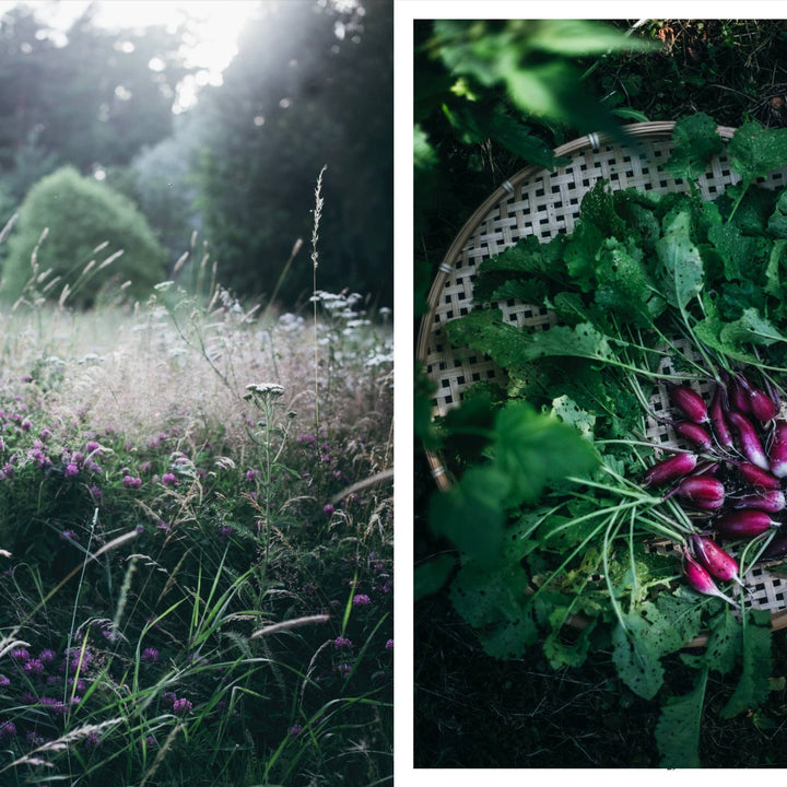 Nordic Summer Cookbook - ökenhem