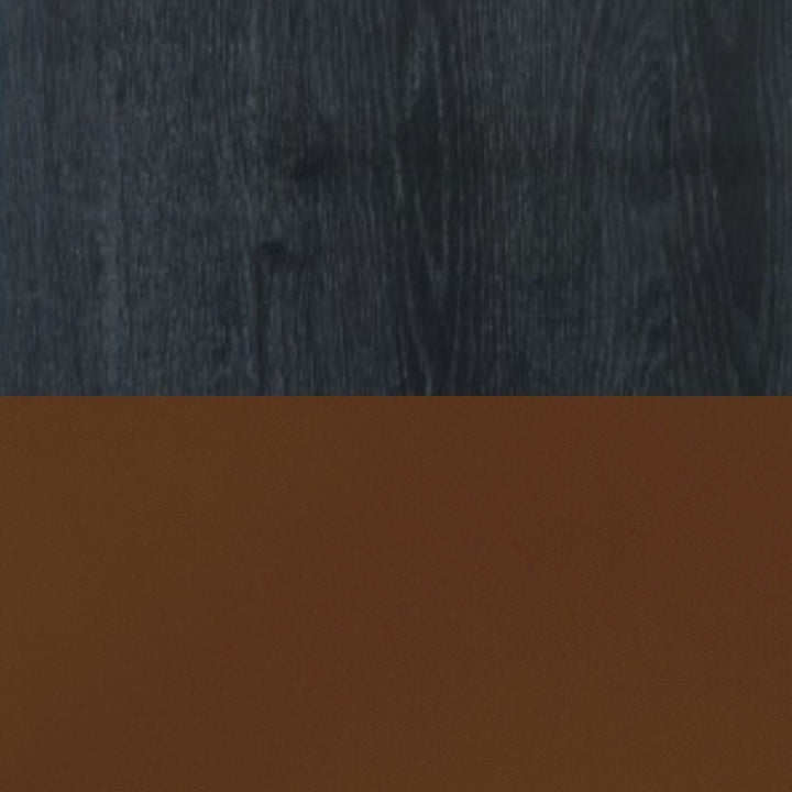 Ry Dining Chair Leather - ökenhem