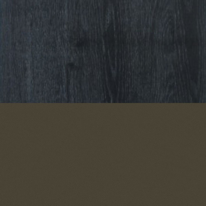 Ry Dining Chair Leather - ökenhem