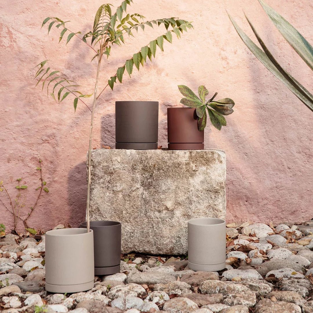 Sekki Pot - ökenhem