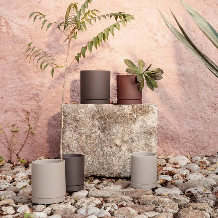 Sekki Pot - ökenhem
