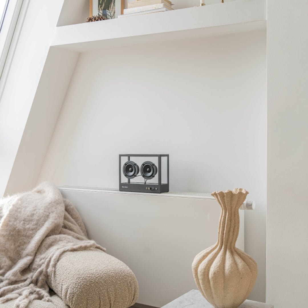 Small Transparent Speaker - Black - ökenhem