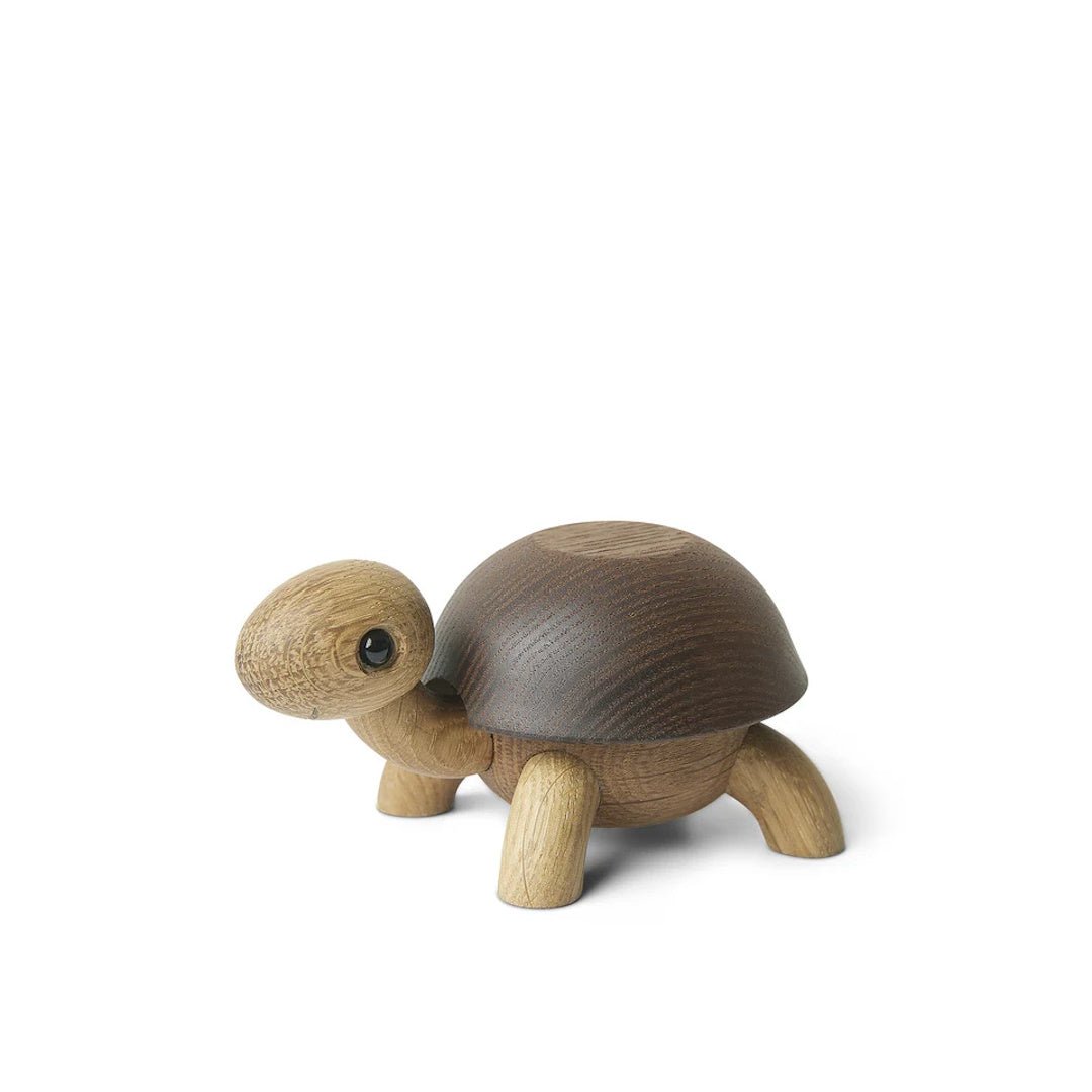 Speedy Turtle - ökenhem