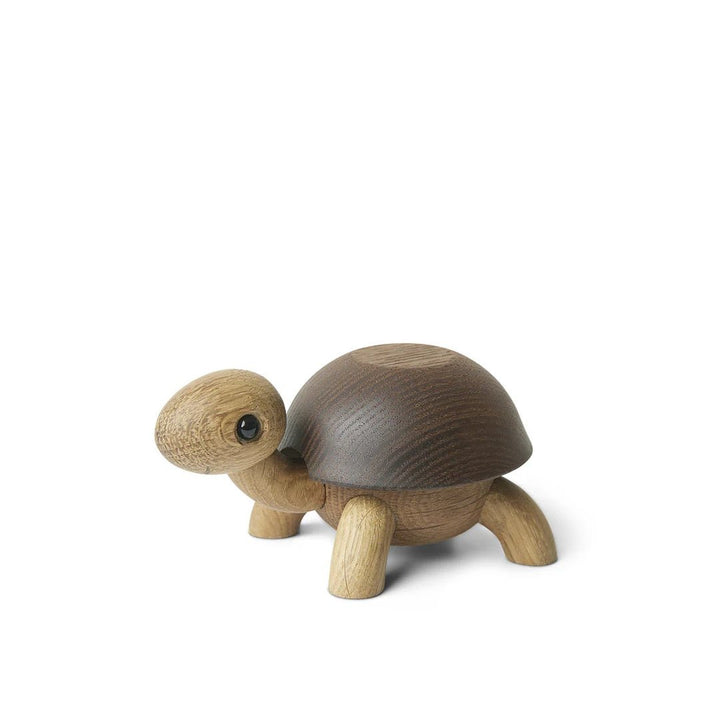 Speedy Turtle - ökenhem