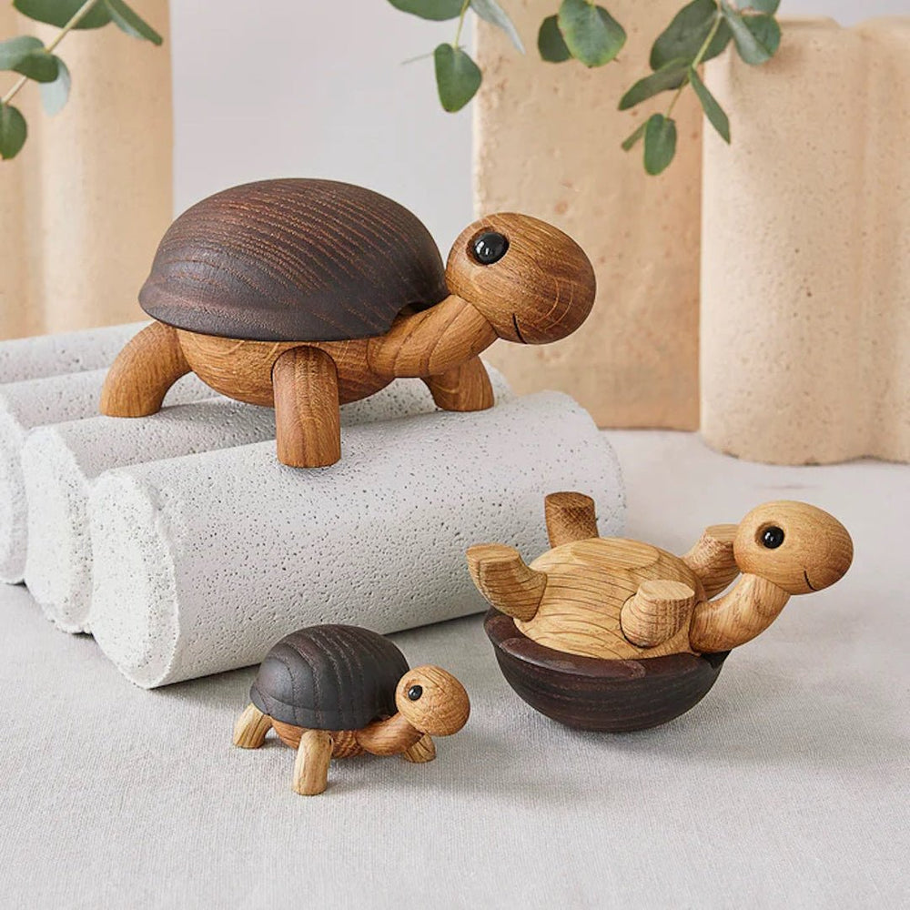 Speedy Turtle - ökenhem