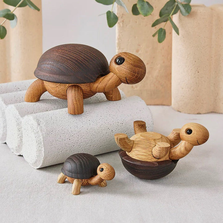 Speedy Turtle - ökenhem