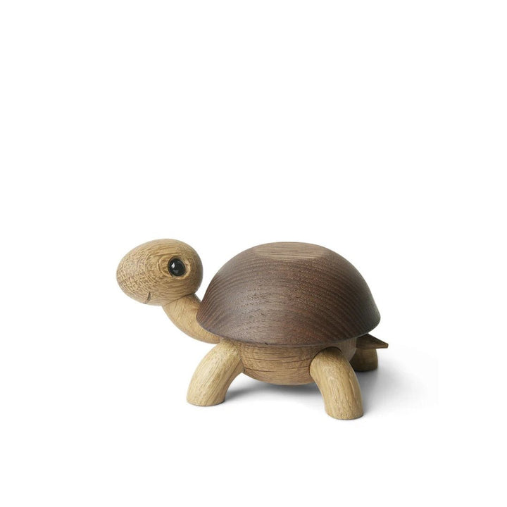 Speedy Turtle - ökenhem