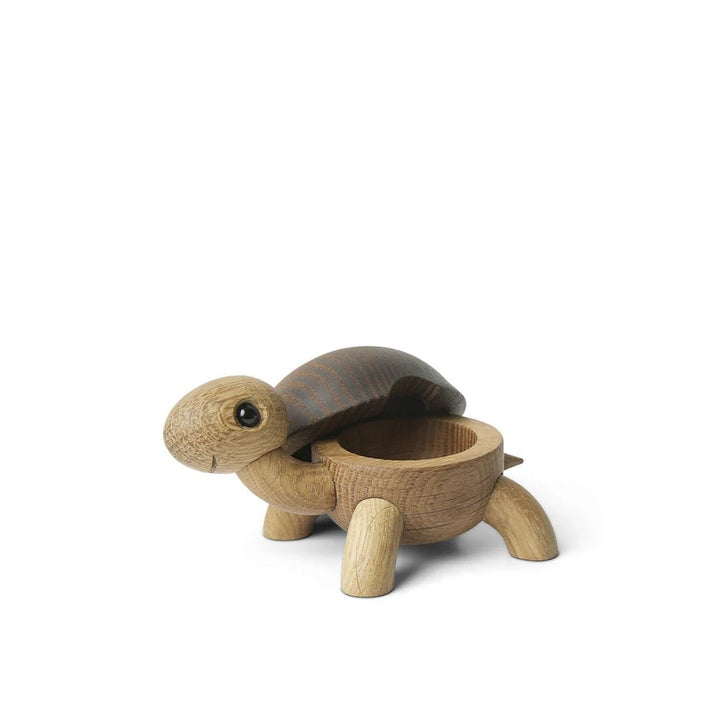 Speedy Turtle - ökenhem