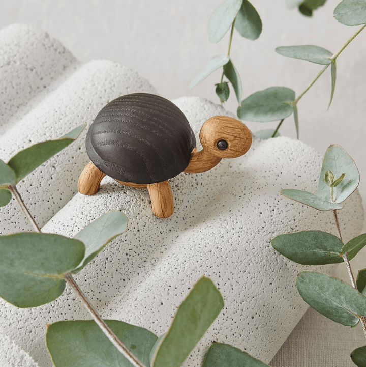 Sporty Wood Tortoise - ökenhem