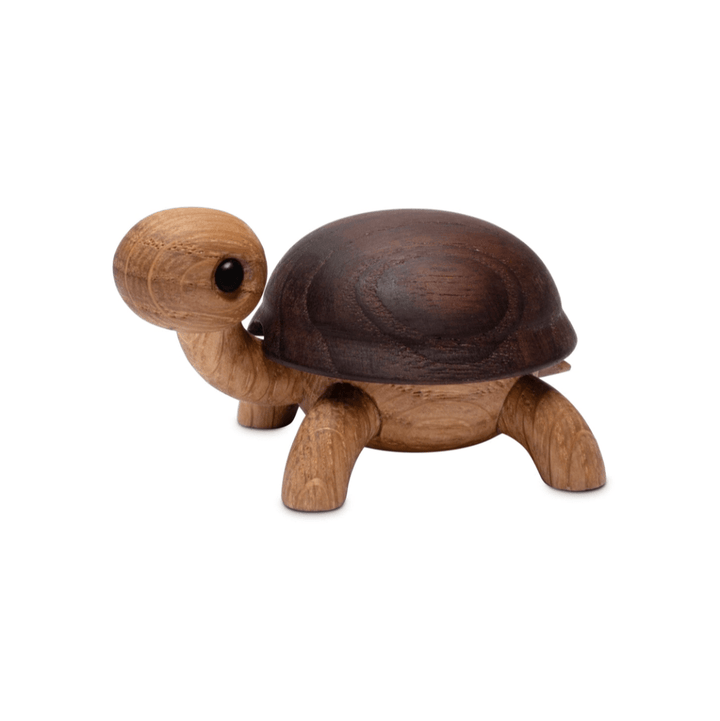 Sporty Wood Tortoise - ökenhem