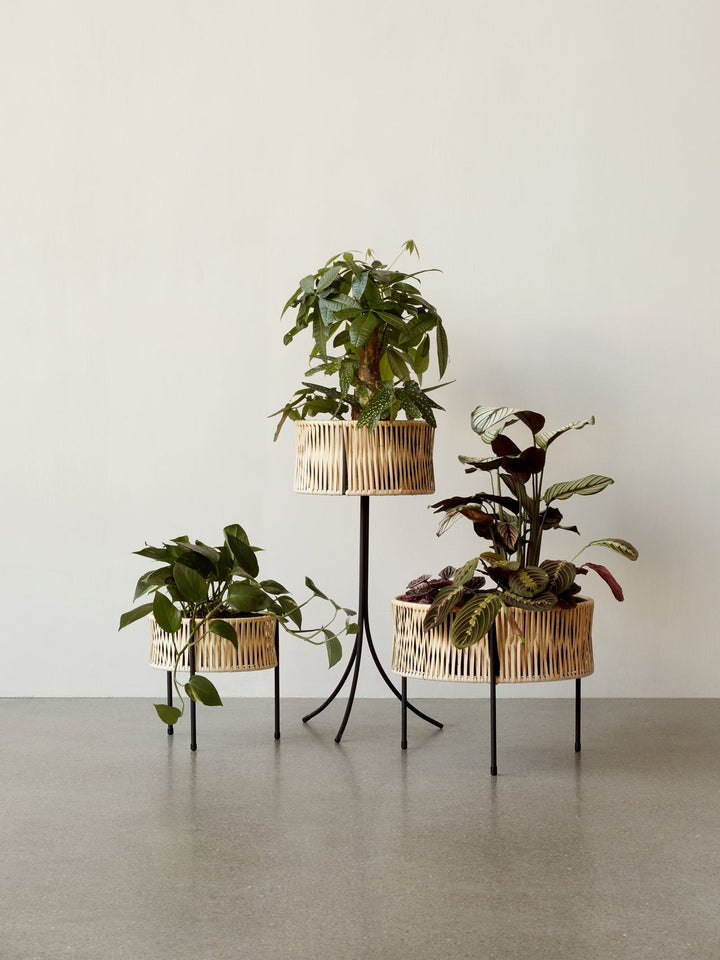 Umanoff, Planter, Set of 3 - ökenhem