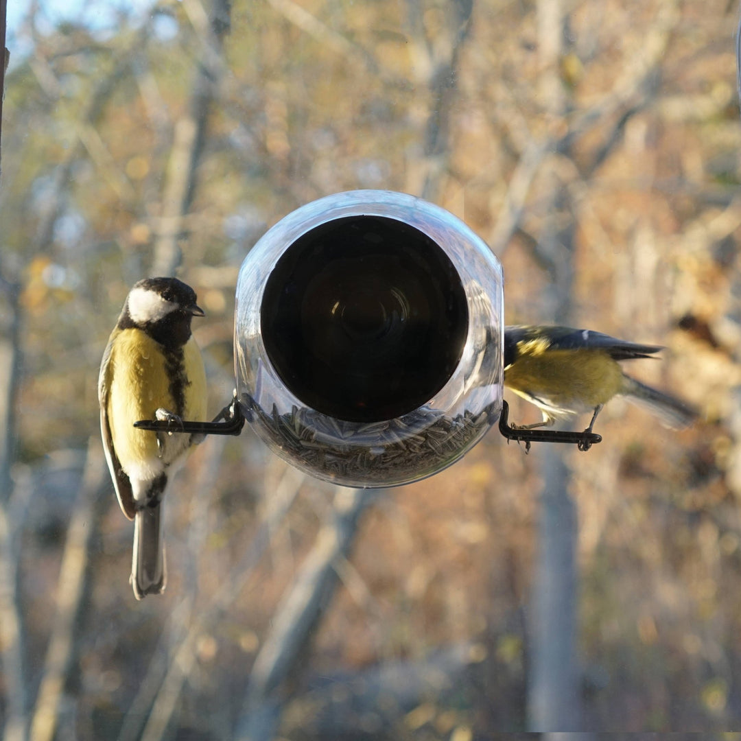 Window Birdfeeder - ökenhem
