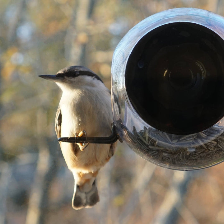 Window Birdfeeder - ökenhem