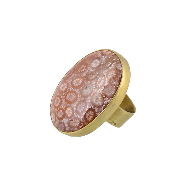 Fossilized Coral Ring - Field Study