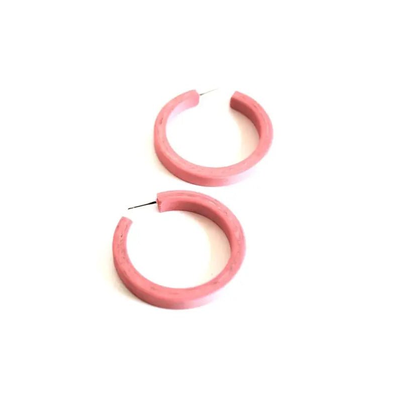 Pink Lucite Hoop Earrings - Field Study