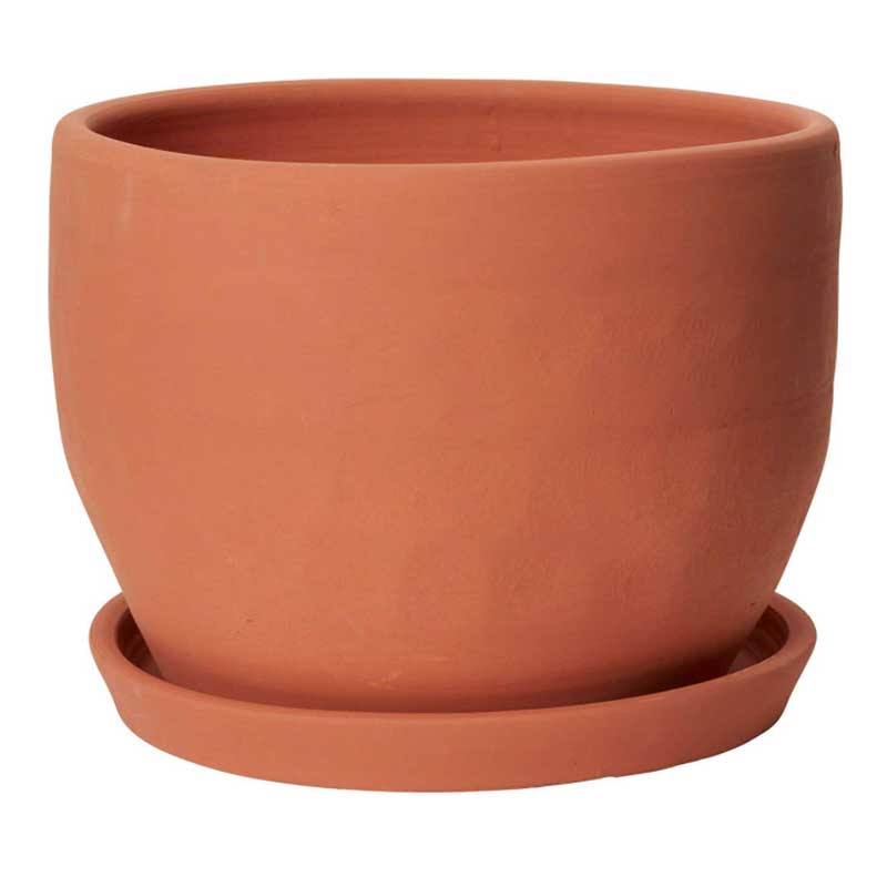 Terracotta Ceramic Pot (Store Pick Up Only) - Field Study